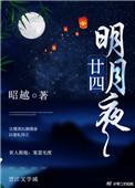 廿四明月夜txt