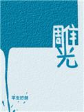 雕光 剧透