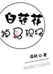 白莲花掉马现场 txt