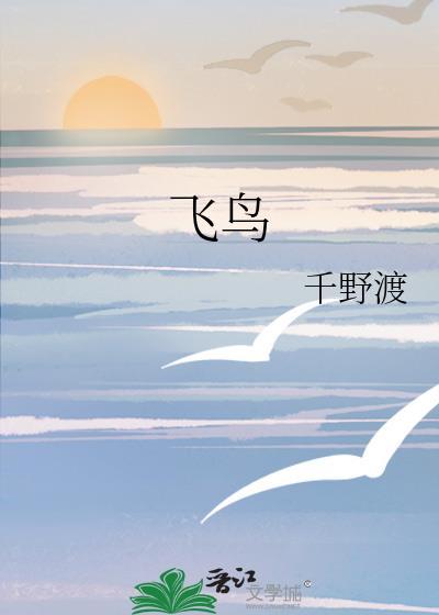 飞鸟加速器官网