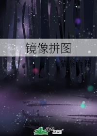 镜像拼图晋江