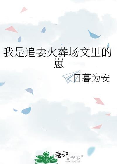 追妻火葬场晋江文