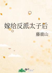 嫁给反派太子后txt