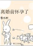 离婚前怀孕了by香水树讲什么