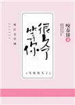我等你很久了txt云盘