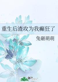 重生后渣攻为我癫狂了全文免费阅读