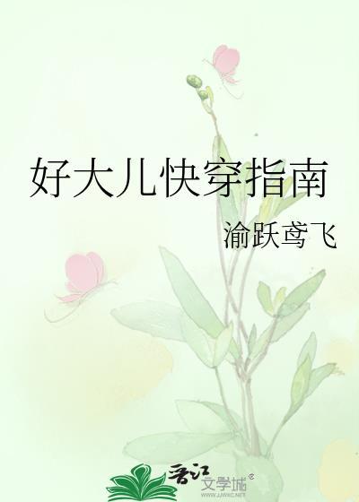 好大儿快穿指南晋江