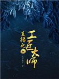 直播之工匠大师有声