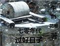 七零年代过好日子没有防盗章