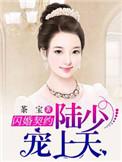 闪婚陆少宠妻请低调全文免费