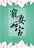 宠妻宠妻如令