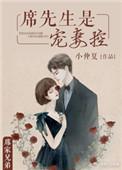 席先生宠不停全文免费阅读