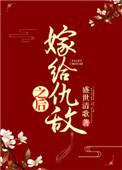 嫁给仇敌之后盛世清歌讲的什么