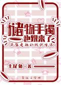 储物手镯也跟来了 作者十尾兔