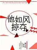 他如风掠夺流兮冉