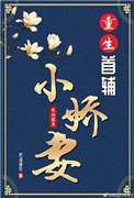 重生首辅小娇妻番外
