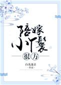 陪嫁小丫鬟很方无删减版
