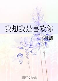 我想我是爱你的