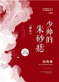 少帅男主叫什么名字
