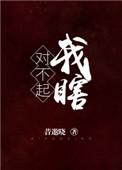 对不起我瞎全文免费阅读