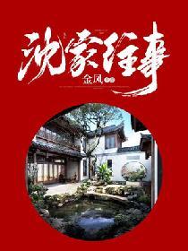 沈家往事免费阅读