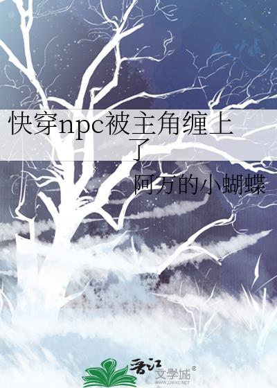 主角是npc的快穿
