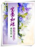 宝妻写的