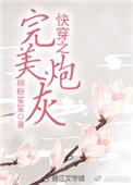 快穿之完美炮灰by匿笔
