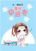 宠妃养成记剧情攻略