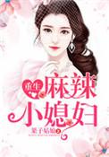 重生麻辣小媳妇txt云盘