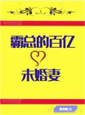 霸总的百亿未婚妻