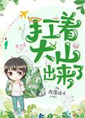 扛着大山出来了资源