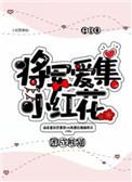 5、将军爱集小红花