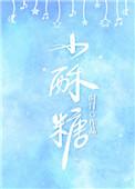 小酥糖作者时汀