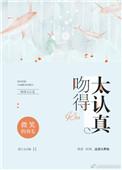 吻得太认真歌曲DJ