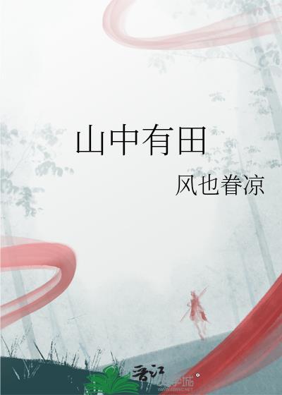 山中有田打一个字