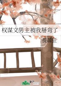 权谋文男主被我掰弯了晋江