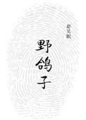 野鸽子叫什么