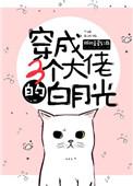穿成3个大佬的白月光txt