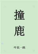撞鹿后运气会越来越好吗