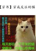 穿成反派猫咪