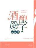 酒酿圆子甜汤