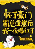 怀了豪门霸总的崽后我一夜爆红了最