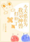 今天也在为我神兽宗打补丁