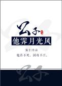 公子他霁月光风攻是谁