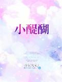 小醍醐txt