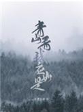 青山看我应如是简介