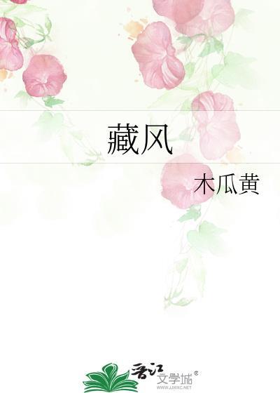 藏风聚水