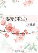 妻宠晋江
