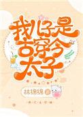 我儿子是古穿今太子男主
